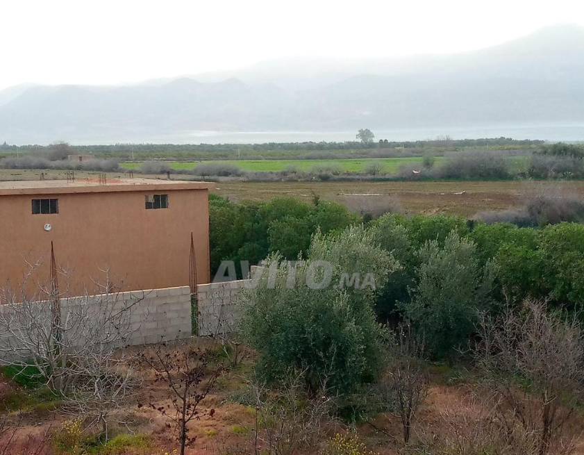 هكتار للبيع- محفظ ومجهز بالكهرباء مع فيلا 7كم من المدينة