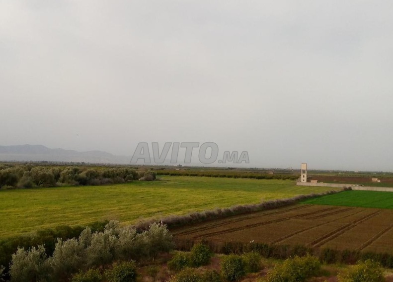 هكتار للبيع- محفظ ومجهز بالكهرباء مع فيلا 7كم من المدينة