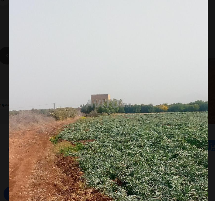 ارض فلاحية -هكتار ونصف قرب ميزان الحرارة سيدي جابر