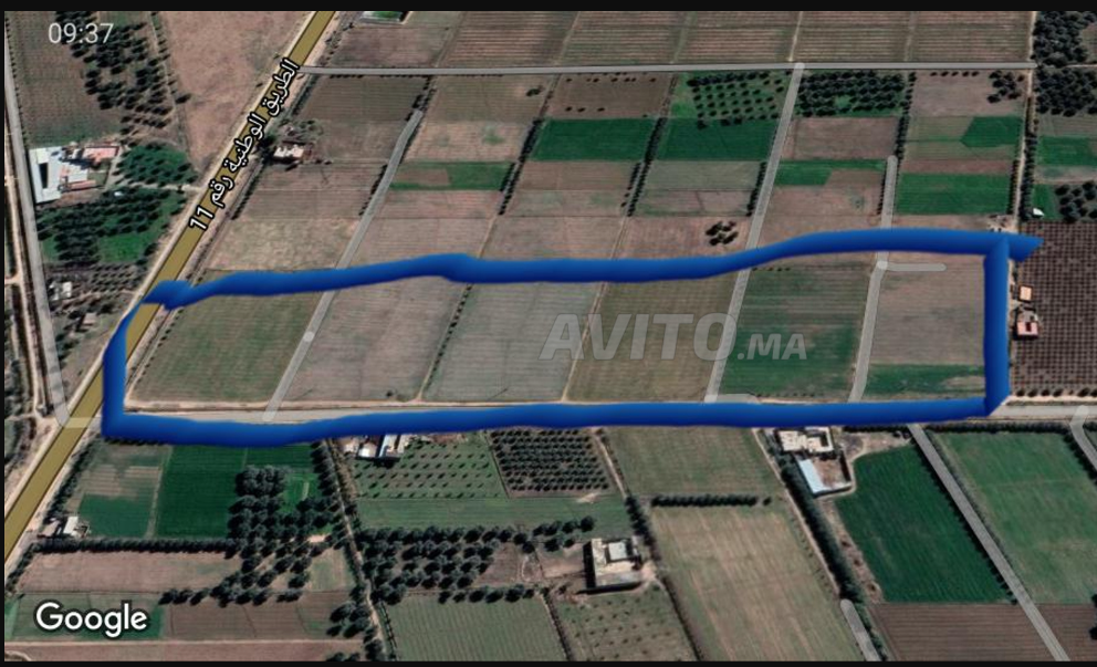 فيرمة للبيع بالفقيه بن صالح